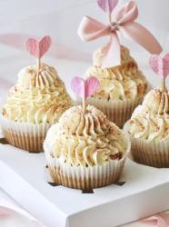 提拉米蘇Cupcakes