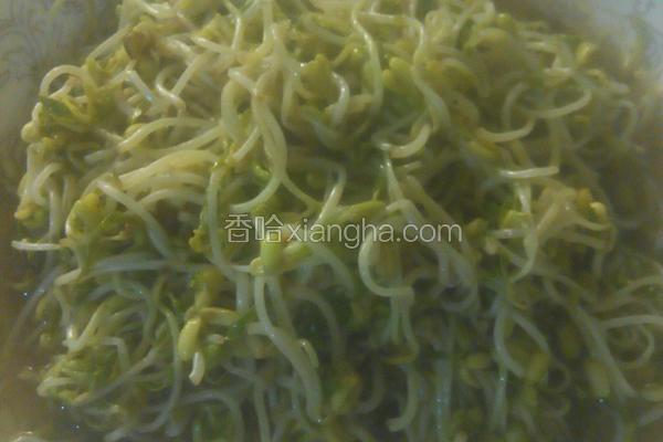 綠豆芽