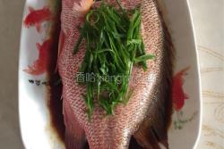 清蒸紅魚