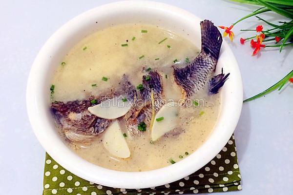 石斑魚湯