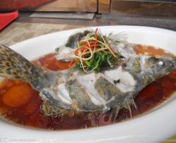 廣式蒸桂魚