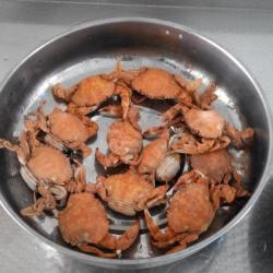 清蒸海蟹