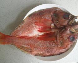 清蒸紅魚