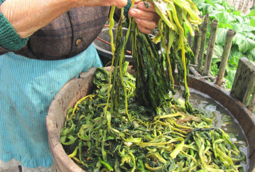 四川四大腌菜之一芽菜传统工艺制作而得芽菜,制作过程除了盐(花椒