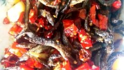 紅燒泥鰍（湘菜）
