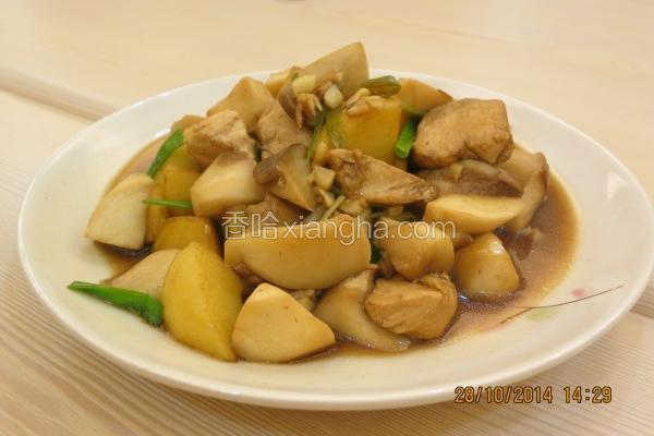 红苹蕈菇烧鸡肉