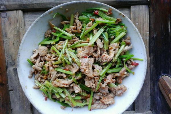 東北香辣肉絲