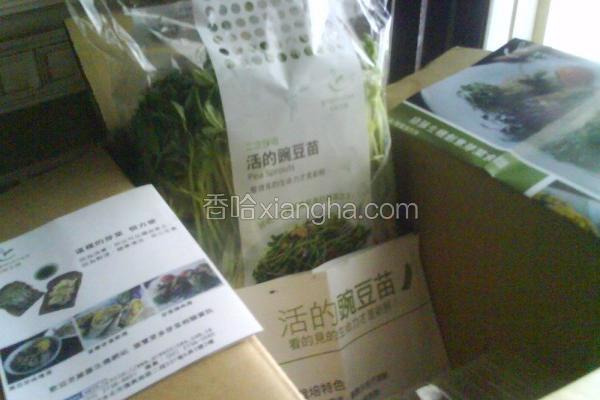 豌豆豆苗图片大全集 美食照片 家常菜谱真实高清图片欣赏