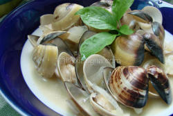 白酒蛤蜊
