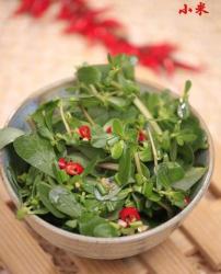 凉拌马齿苋
