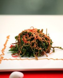 蒜蓉麻酱马齿菜