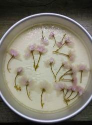 8寸樱花酸奶慕斯