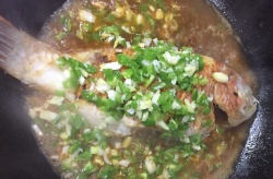 黄焖鹦哥鱼鱼中贵族