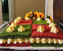 卷卷变身大蛋糕之新年双色方形蛋糕