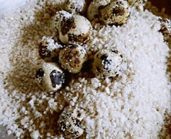 盐焗鹌鹑蛋