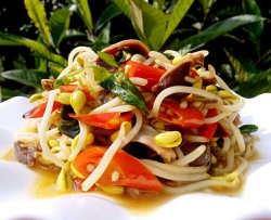 尖椒豆芽爆鸡胗