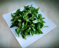 凉拌荆芥