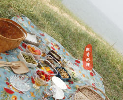 多图|谁说野餐只能是三明治 or 饭团- 一次“家常”的海滩野餐