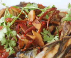 六月黄大闸蟹红烧汪丫鱼