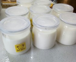 不用酸奶机做酸奶