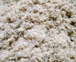 宝宝辅食芝麻牛肉松