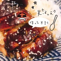 电饭煲照烧鸡排