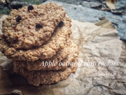 健康的苹果肉桂软曲奇