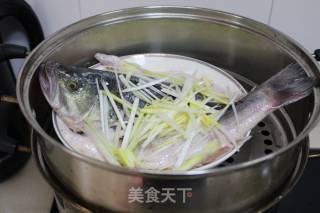 [13圖]年年有魚(餘)——清蒸鱸魚的家常做法,竅門,配方,步驟圖解