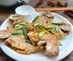 香煎鲷鱼
