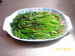 【美食之春交响曲】——绿叶情怀《蚝油芥蓝菜》