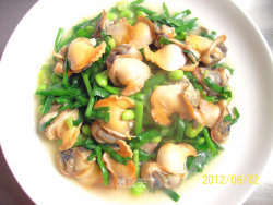 【美食之春交响曲】——绿意献鲜《韭菜毛豆炒毛蛤》