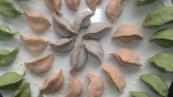 冬至蔬菜汁水饺