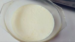 营养餐-牛奶炖蛋