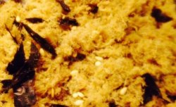 卤味海苔芝麻肉松自家做