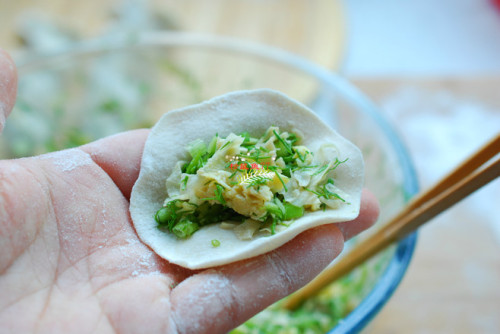 豆皮茴香雞蛋素餃子