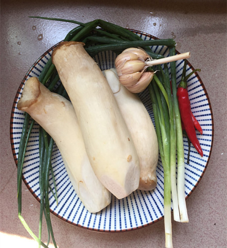 點擊圖片進入烹飪模式主要原材料準備.步驟2.杏鮑菇清淨乾淨.步驟3.